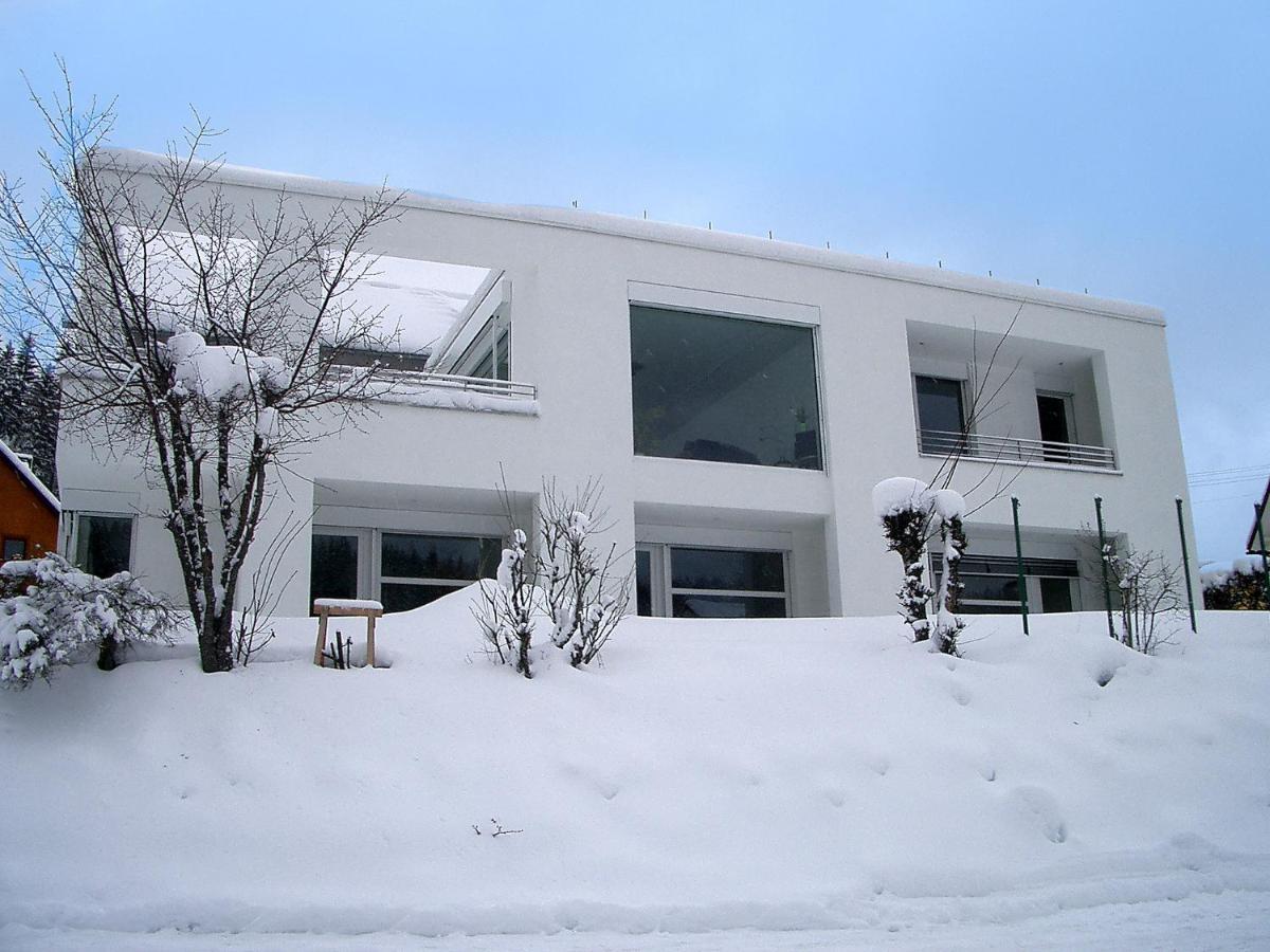 Apartment Willmann By Interhome Eisenbach (Breisgau-Hochschwarzwald) Exterior foto